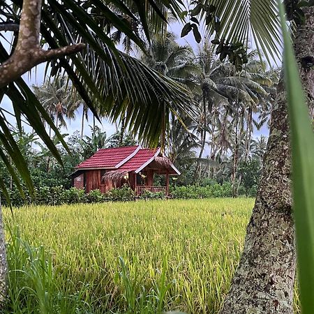 Syaqila Homestay Lombok Tetebatu Exteriör bild