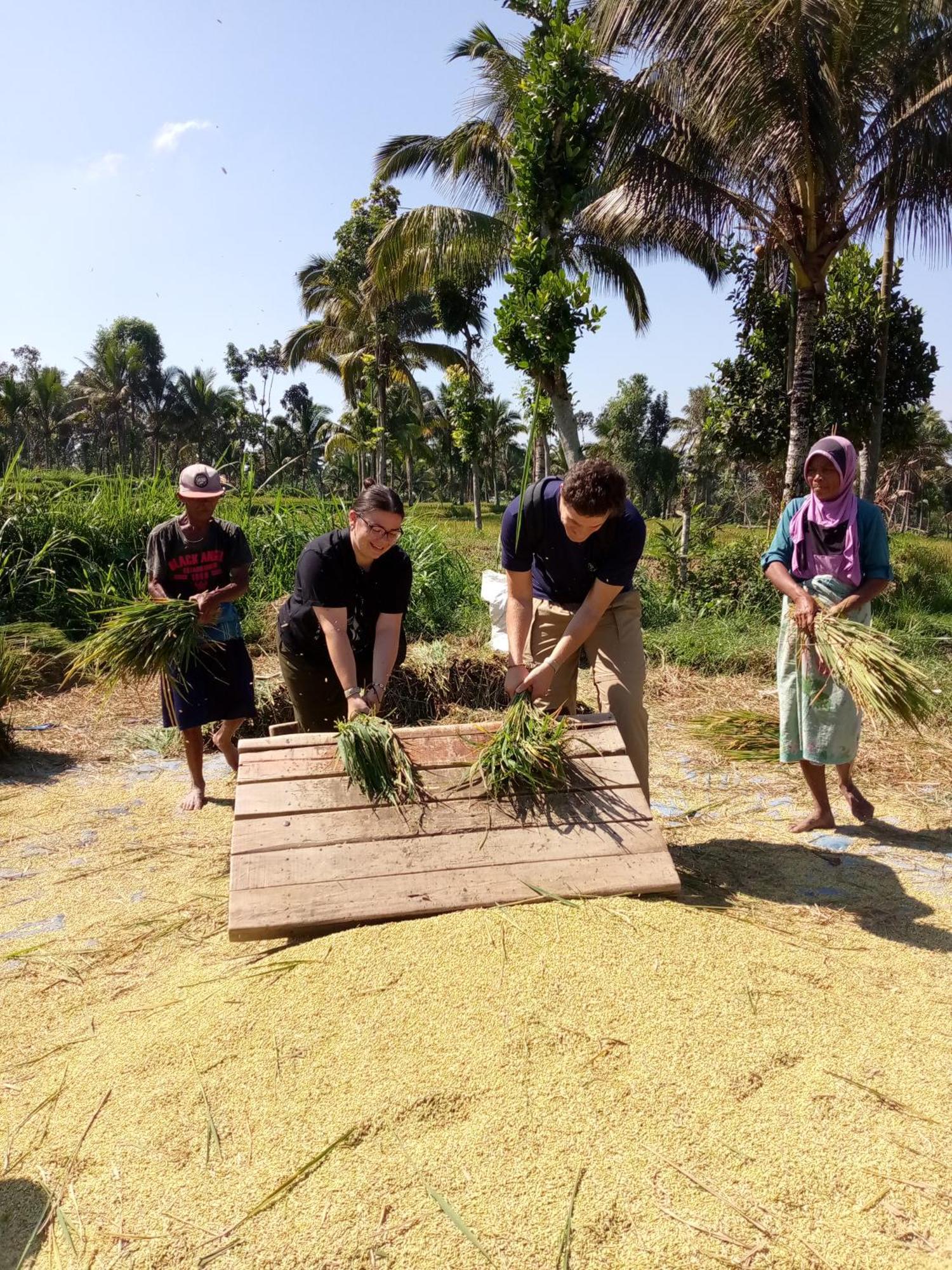 Syaqila Homestay Lombok Tetebatu Exteriör bild