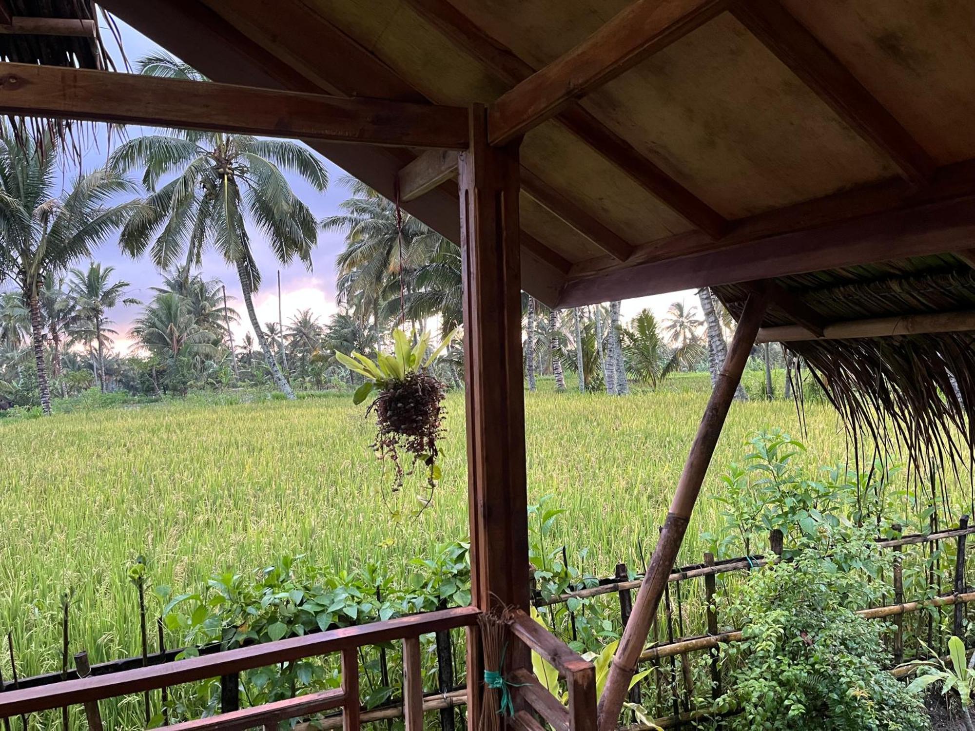 Syaqila Homestay Lombok Tetebatu Exteriör bild