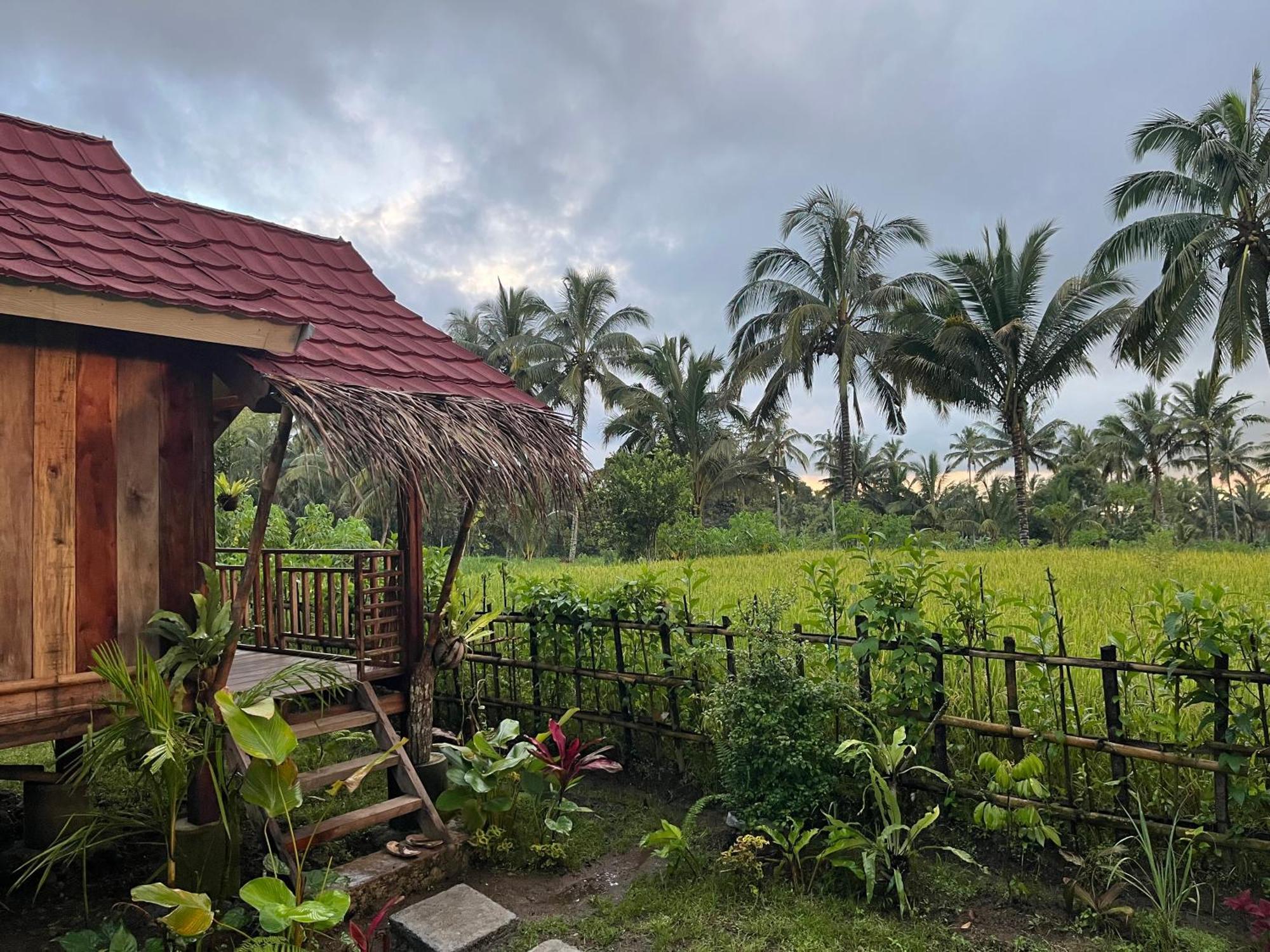 Syaqila Homestay Lombok Tetebatu Exteriör bild