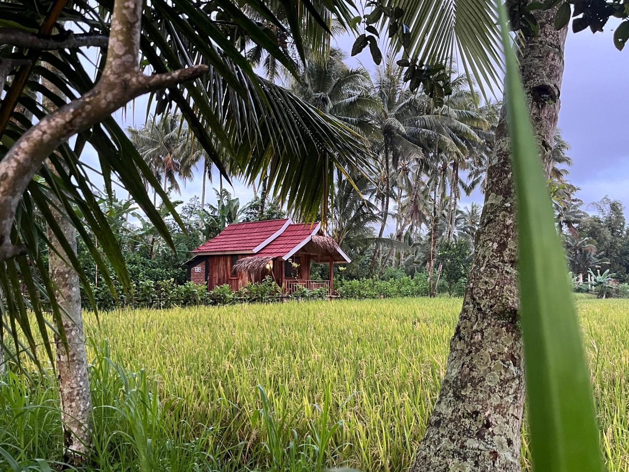 Syaqila Homestay Lombok Tetebatu Exteriör bild