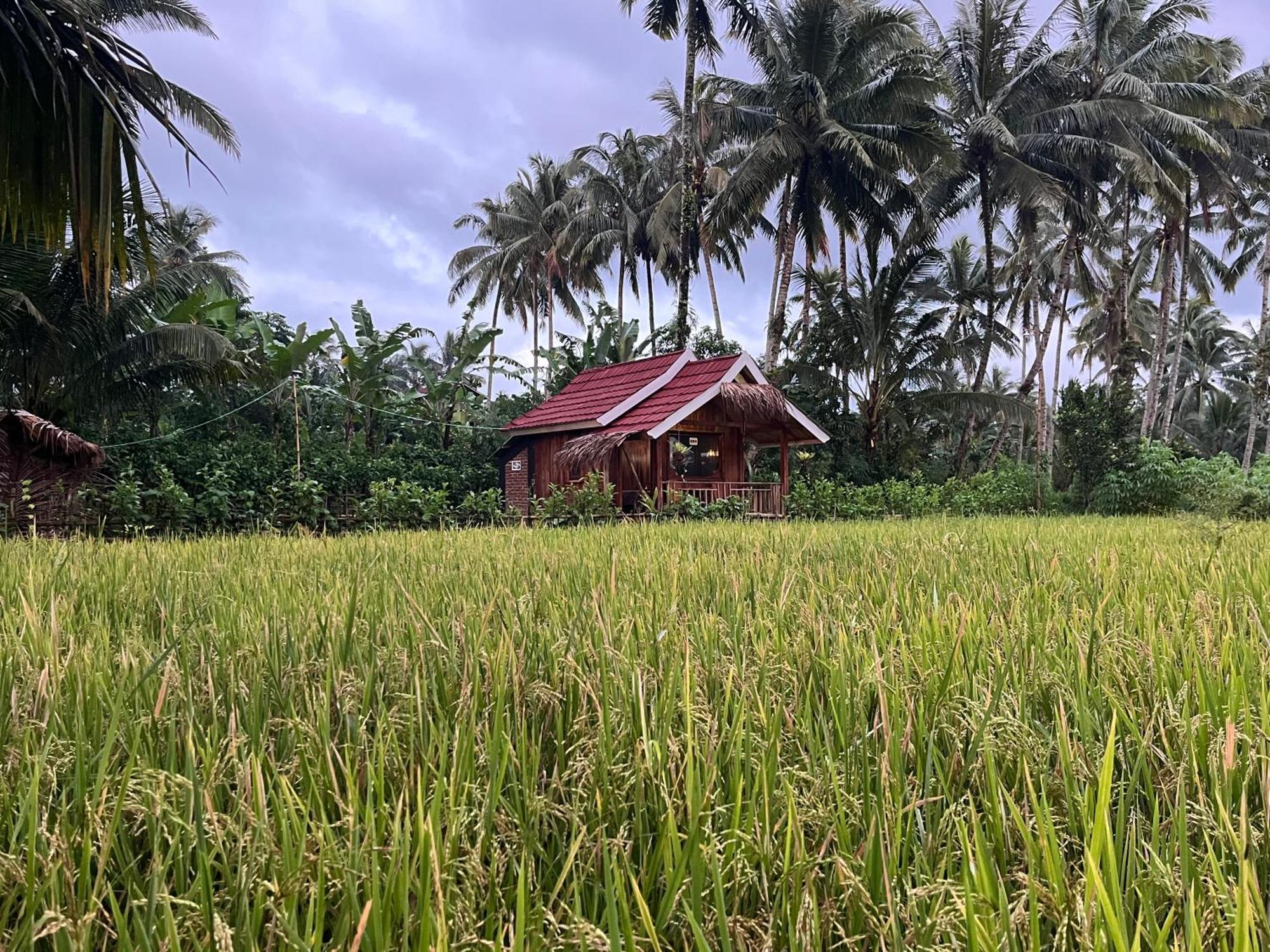 Syaqila Homestay Lombok Tetebatu Exteriör bild